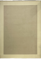 Ковер MONACO 1641 YELLOW CREAM/WHITE CREAM